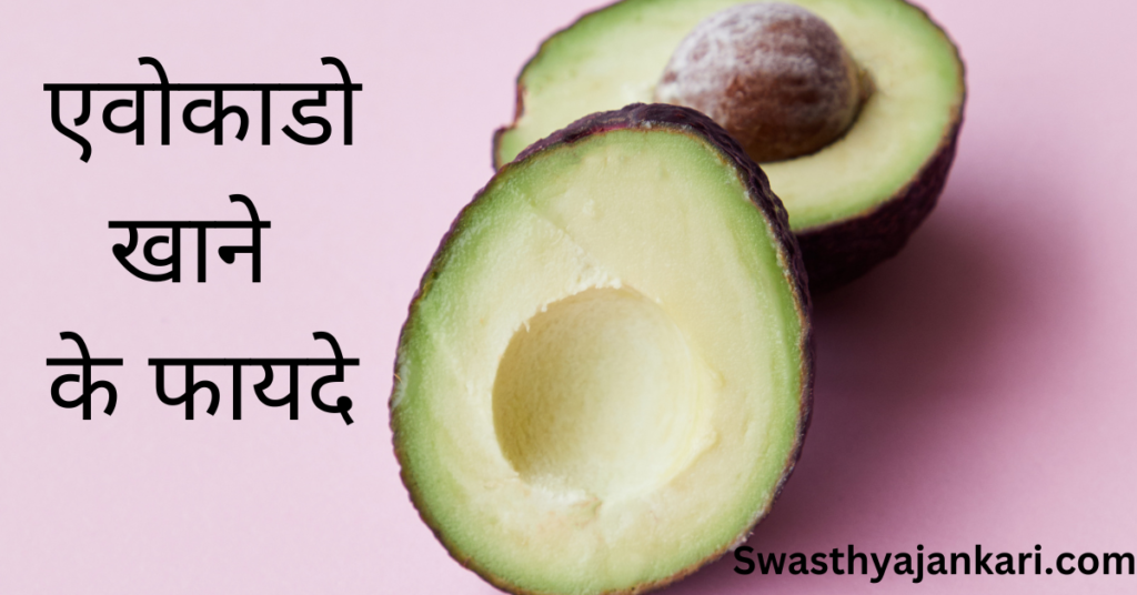 Avocado in hindi